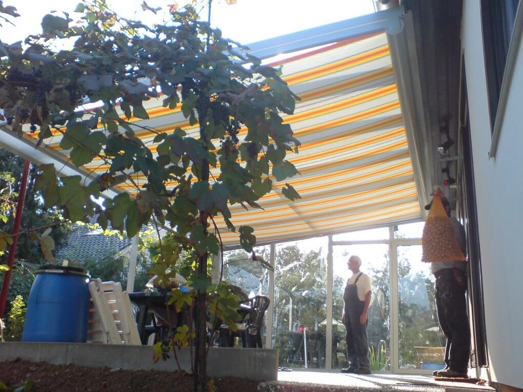 Unterglasbaumarkise am Kaltwintergarten