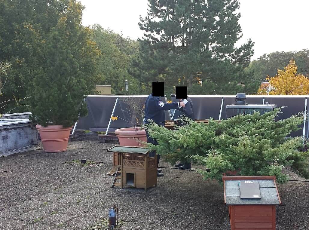 Baubesprechung in Schwieberdingen