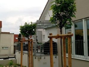 Terrassendach Abstatt Titel